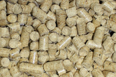 Roast Green biomass boiler costs