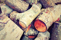 Roast Green wood burning boiler costs